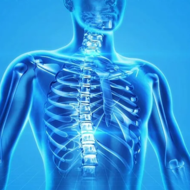 Diseño sin título (23)